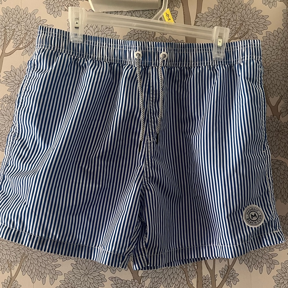 MAAGIC Blue Striped Swim Shorts